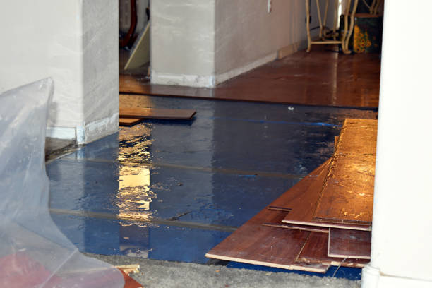Professional Water Damage Restoration technician working in Rockland, DE